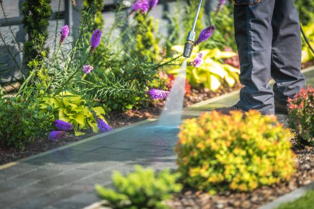Best Winterizing Services  in Gladewater, TX