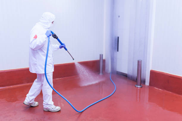 Spring Cleaning in Gladewater, TX