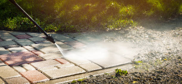 Best Soft Washing  in Gladewater, TX
